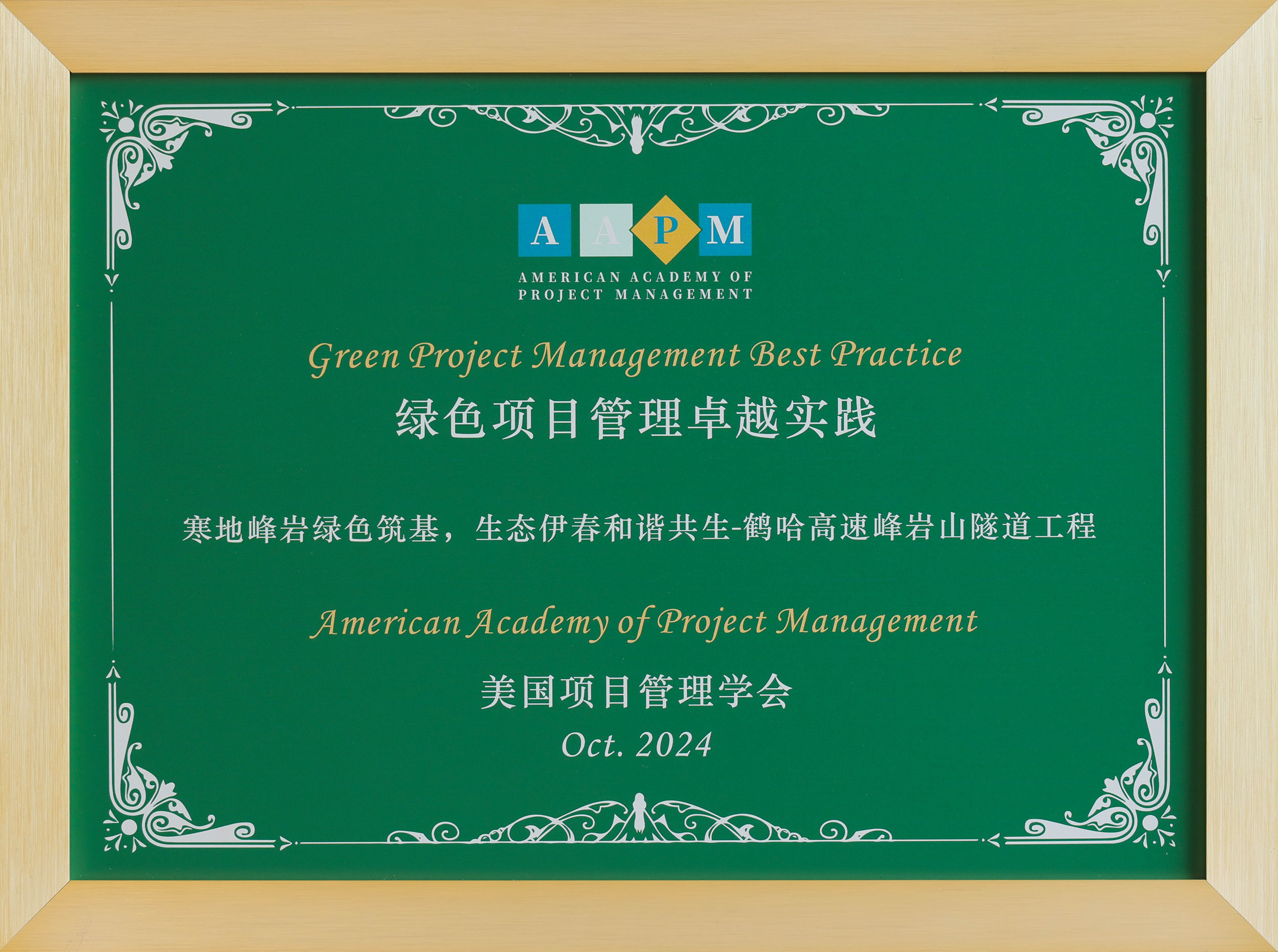 公司首次亮相美国项目管理学会(AAPM)年度盛典并斩获3项大奖(图4) 公司首次亮相美国项目管理学会(AAPM)年度盛典并斩获3项大奖(图4)